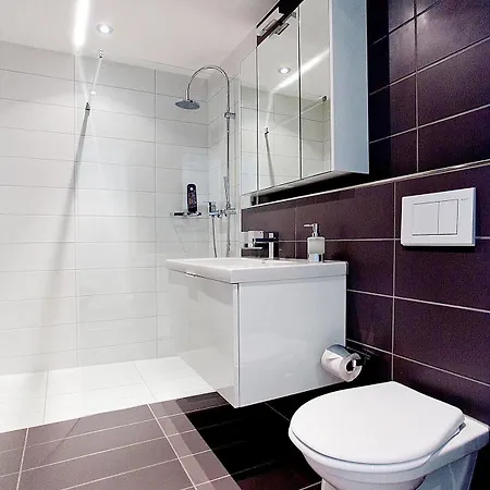Premium By Livingdowntown Apartment Zurich